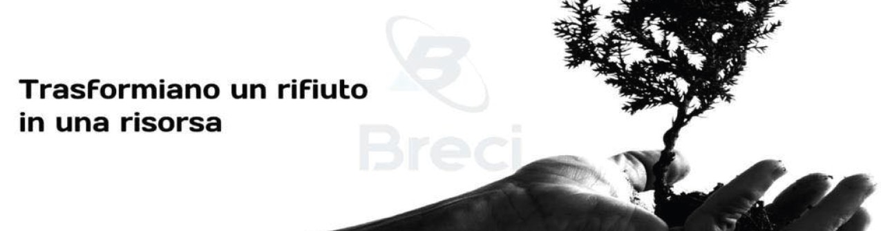 Breci